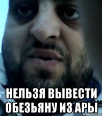 нельзя вывести обезьяну из ары
