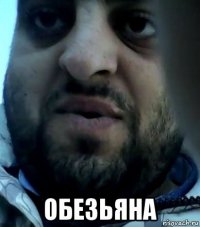 обезьяна