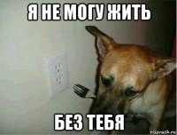 я не могу жить без тебя