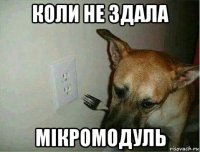 коли не здала мікромодуль