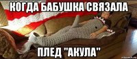 когда бабушка связала плед "акула"
