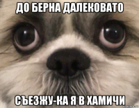 до берна далековато съезжу-ка я в хамичи