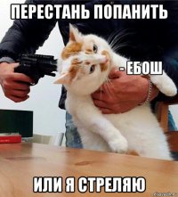 перестань попанить или я стреляю