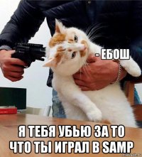  я тебя убью за то что ты играл в samp