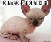 опять овсяноблииин! 