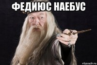 федиюс наебус 