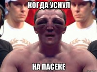 когда уснул на пасеке
