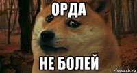 орда не болей