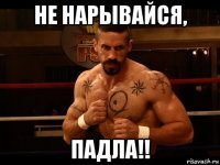 не нарывайся, падла!!