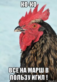 ко-ко все на марш в пользу игил !