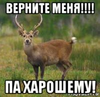 верните меня!!!! па харошему!