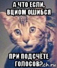 а что если, вциом ошибся при подсчёте голосов?