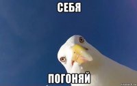 себя погоняй