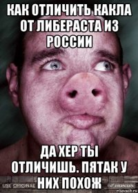 как отличить какла от либераста из россии да хер ты отличишь. пятак у них похож