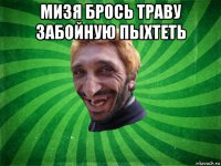 мизя брось траву забойную пыхтеть 