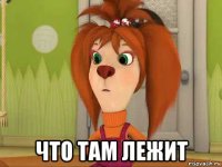  что там лежит