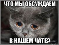 что мы обсуждаем в нашем чате?