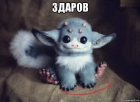 здаров 