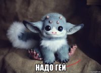  надо гей