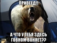 привеед!! а что у тебя здесь говном воняет??