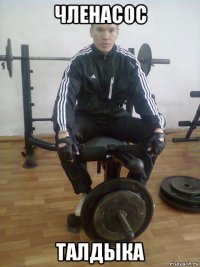 членасос талдыка