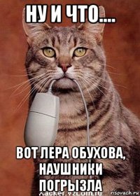 ну и что.... вот лера обухова, наушники погрызла