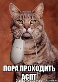  пора проходить аспт
