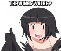 the wings where ? 