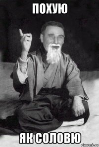 похую як соловю