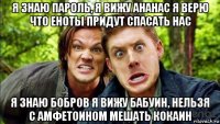 я знаю пароль, я вижу ананас я верю что еноты придут спасать нас я знаю бобров я вижу бабуин, нельзя с амфетоином мешать кокаин