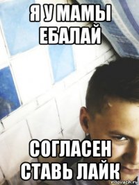 я у мамы ебалай согласен ставь лайк