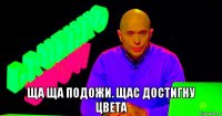  ща ща подожи. щас достигну цвета