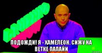  подожди! я - хамелеон. сижу на ветке папайи