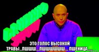  это голос высокой травы...пшшш....пшшшшшш.... пшеница......