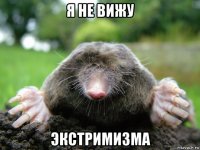 я не вижу экстримизма