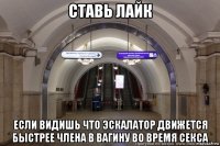 ставь лайк если видишь что эскалатор движется быстрее члена в вагину во время секса