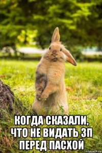  когда сказали, что не видать зп перед пасхой