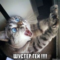  шустер гей !!!!