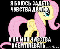 я боюсь задеть чувства других, а на мои чувства всем плевать...