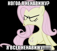 когоа я ненавижу? я всех ненавижу!!!!!!