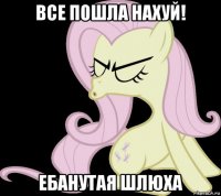 все пошла нахуй! ебанутая шлюха