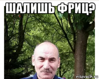 шалишь фриц? 