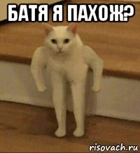 батя я пахож? 