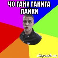 чо гани ганига лайки 