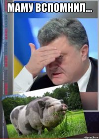 маму вспомнил... 