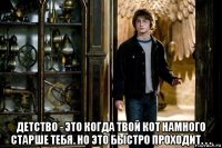  детство - это когда твой кот намного старше тебя. но это быстро проходит. . .