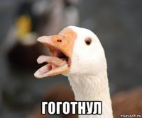  гоготнул