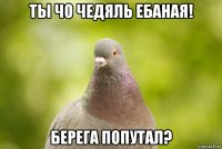 ты чо чедяль ебаная! берега попутал?