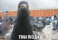  тобi пiзда