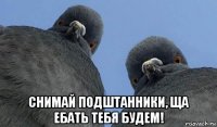  снимай подштанники, ща ебать тебя будем!